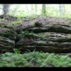 2015-08-16 - Mirror Lake State Park