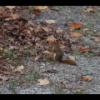 20161030162238_IMG_2672