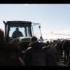 2019-02-16 - Auction