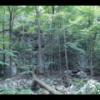 2019-08-10 - Ableman's Gorge SNA