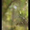 IMG_8173