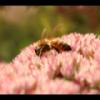 IMG_8178