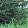 img08312022_057