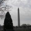 2008 - Washington DC