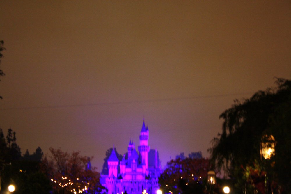 Disney 018