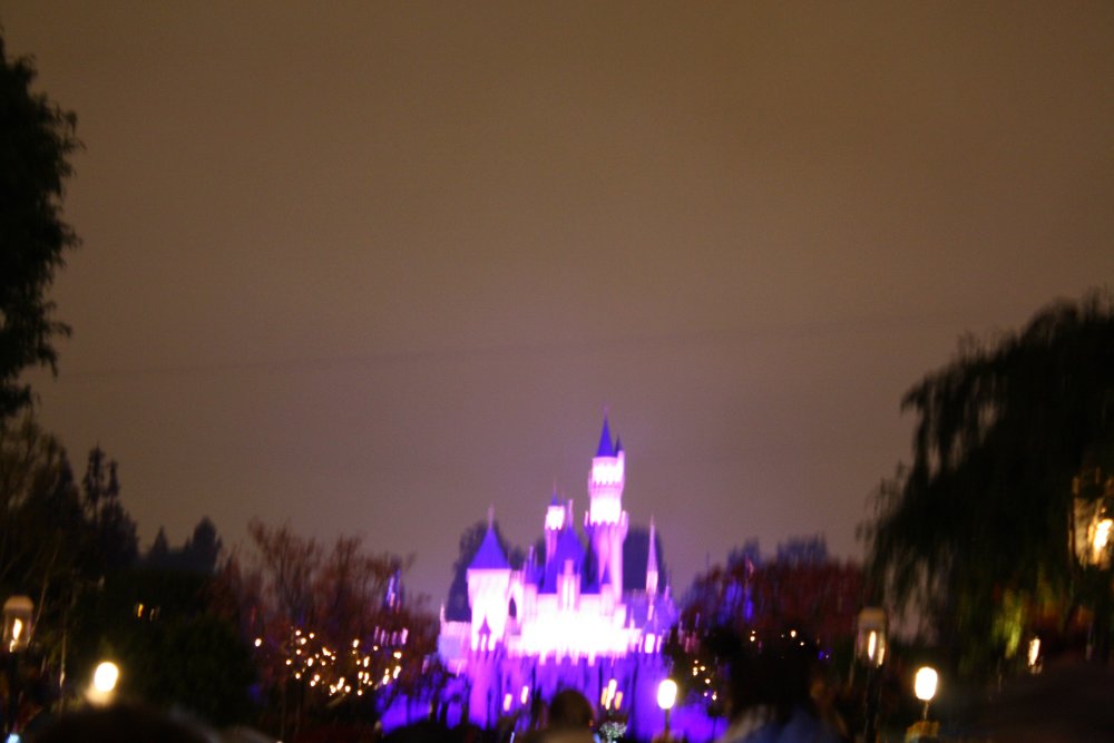 Disney 020