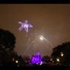 Disney 033