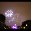 Disney 042
