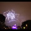 Disney 043