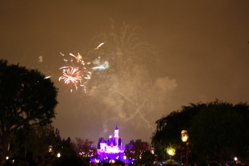 Disney 070