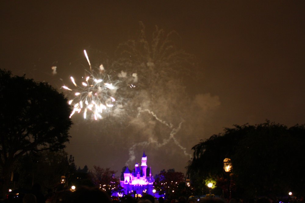 Disney 071