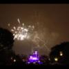 Disney 071