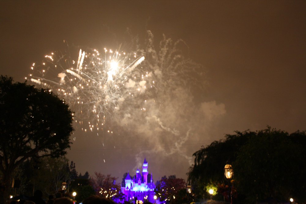 Disney 075