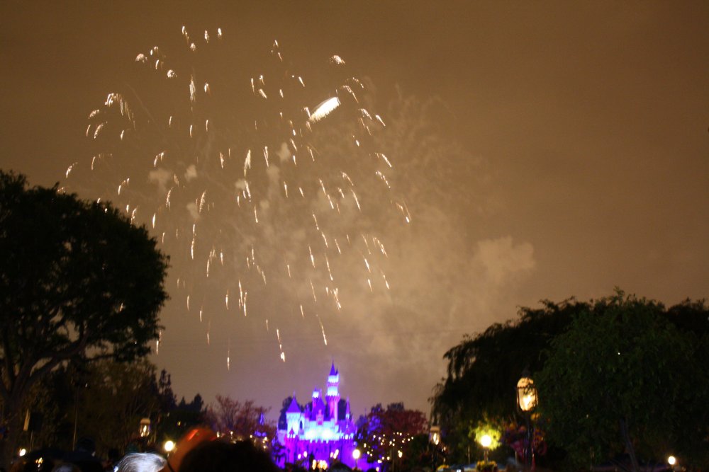 Disney 078