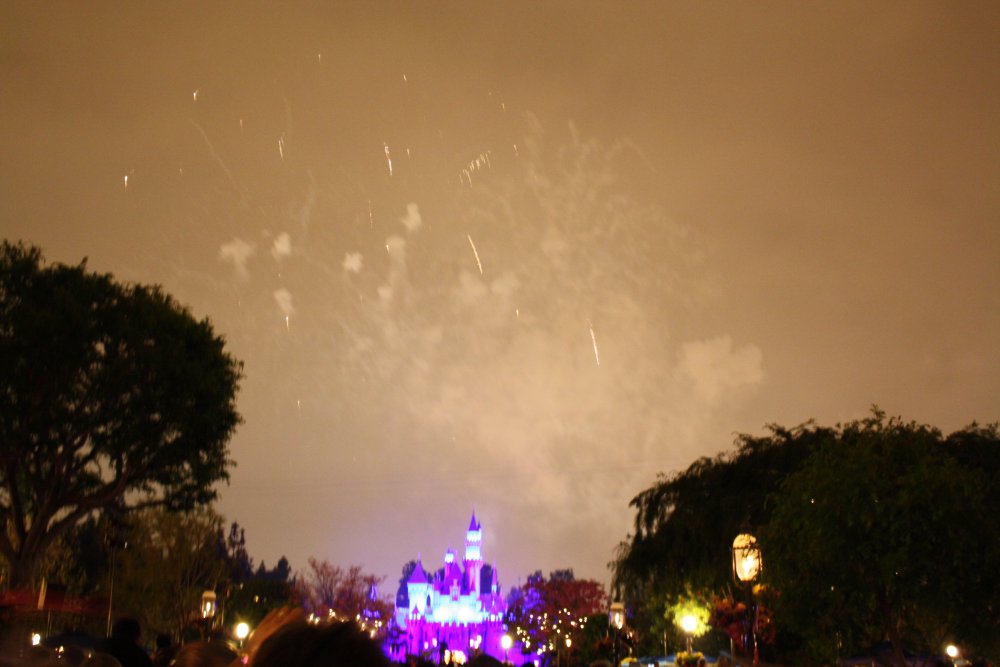 Disney 079