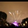 Disney 081