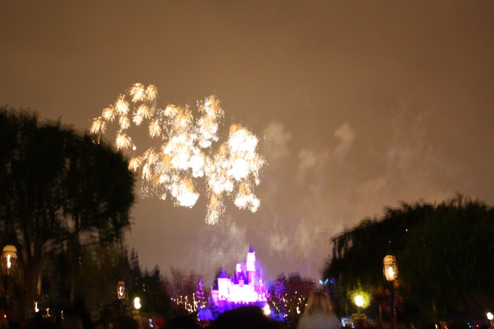 Disney 085