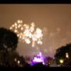 Disney 085
