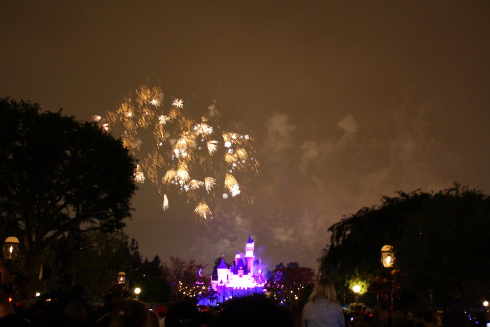 Disney 087