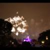 Disney 088