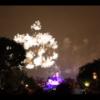 Disney 089