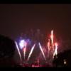 Disney 104