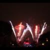 Disney 116