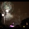 Disney 136