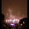 Disney 142