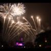 Disney 151