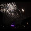 Disney 153