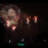Disney 173