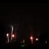Disney 177
