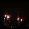 Disney 178