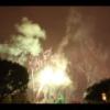 Disney 215