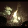 Disney 216