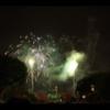 Disney 246