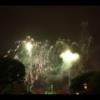 Disney 247