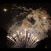 Disney 293