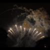 Disney 295