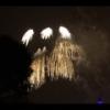 Disney 299