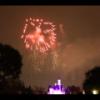 Disney 316