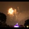 Disney 317