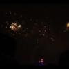 Disney 329