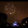 Disney 336