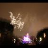 Disney 338