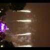 Disney 339