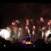 Disney 384