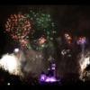 Disney 387