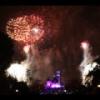 Disney 391
